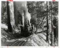 Roaring Camp & Big Trees Narrow-Gauge Railroad