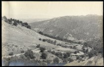 Rolling hills of New Almaden, circa 1915