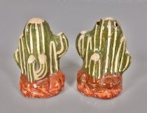 Cactus salt & pepper shakers