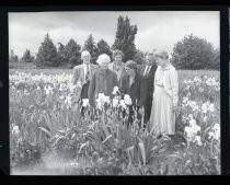 "Ruth Rees / Iris Garden with visitors April '58"