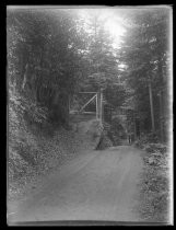 Dirt road through forest, with gate