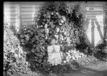 Portrait of child next to climbing nasturtium