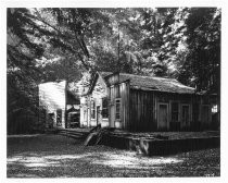 Buildings at Henry Cowell State Park