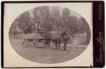 Horse-drawn wagon