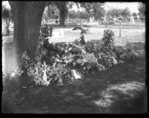 Grave covered in flowers at cemetery