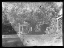 Resort buildings under trees, Ben Lomond (?)