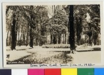 St. James Park, December 11, 1932