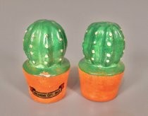 Cacti salt & pepper shakers