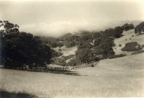 Fence on hillside with coastal fog