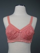 Pink brassiere