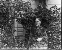 Portrait of woman in plaid dress in front of vine, c. 1912