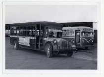 Two buses in Palo Alto bus yard