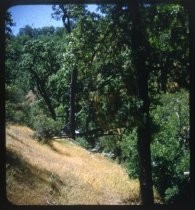 Grassy hill next to gravel creekbed