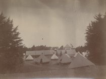 Tents in a park setting