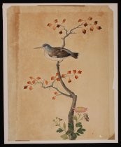 Untitled bird and flowers