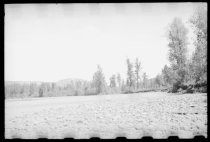View from the Alaska Railroad near Matanasku Valley