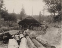 "Saw Mill on Edge of Big Basin"