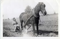 Young girl behind horse in plowed field