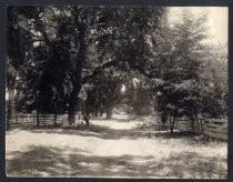 "An old farm entrance, as the Valley looked before the fruit industry commenced."