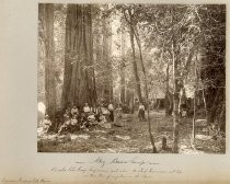 "Big Basin Camp"