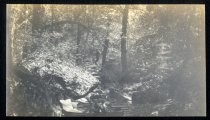 Woman in hammock over mountain stream