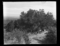 "Chester & Father near Overlook Farm, Los Gatos, CA."