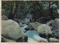 In the Woods, view of Penitencia Creek near Alum Rock Springs, San Jose, Cal. 645