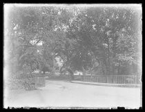 "Berkeley Campus, September 1916"