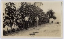 Stephen Rozum and Carl Nelson with sunflowers