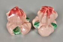 Pink flowers salt & pepper shakers