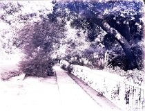 Sidewalk and Acequia, Hacienda