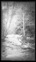 Young woman on rock next to stream