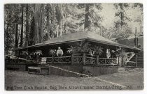 "Big Tree Club House, Big Tree Grove, Near Santa Cruz, Cal. #2259"