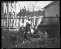 Woman feeding three dogs on a farm