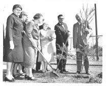 Municipal Rose Garden tree planting