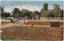 Fruit Drying Near San Jose, California