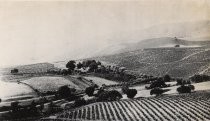 Mirassou Vineyards, Aborn Road, 1875