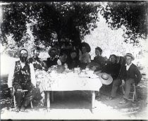 Group pose for picnic under a tree