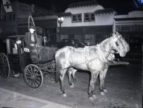 Woman inside of horse-drawn hack, near Valley Bowl