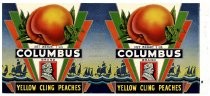 Columbus Brand Yellow Cling Peaches, California Packing Corporation, San Francisco, California