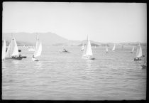 Sailboats in bay