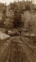 Looking down a dirt road to a shack