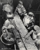 Sorting Peaches, Del Monte Cannery