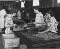 "Close-up Of Cutters At Work"