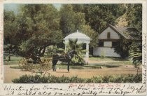 Alum Rock Park, San Jose, Cal. No. 60