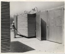 Removing Drying Trays from Sulphur Shed, c. 1940