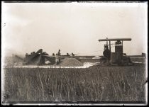 Grain harvesting operation