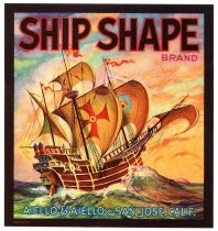 Ship Shape brand broccoli label