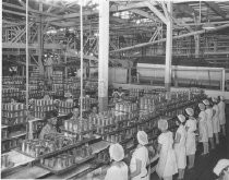 Canning Peaches at Libby's; c. 1940