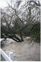 Flooded area beside white deck. Possibly the 1998 El Nino Flood in California